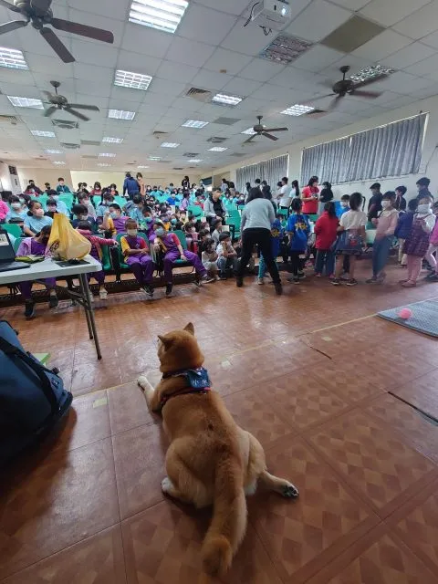 白沙國小／屏東琉球 75 - Travel of Rice 小米遊記