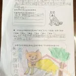 白沙國小／屏東琉球 99 - Travel of Rice 小米遊記