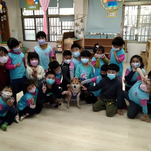 豐田國小附設幼兒園/苗栗卓蘭 172 - Travel of Rice 小米遊記 豐田國小附設幼兒園/苗栗卓蘭 170 - Travel of Rice 小米遊記
