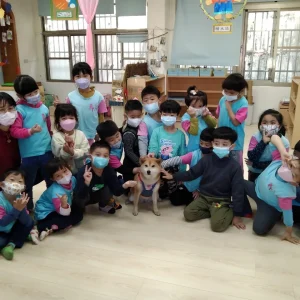 豐田國小附設幼兒園／苗栗卓蘭 92 - Travel of Rice 小米遊記