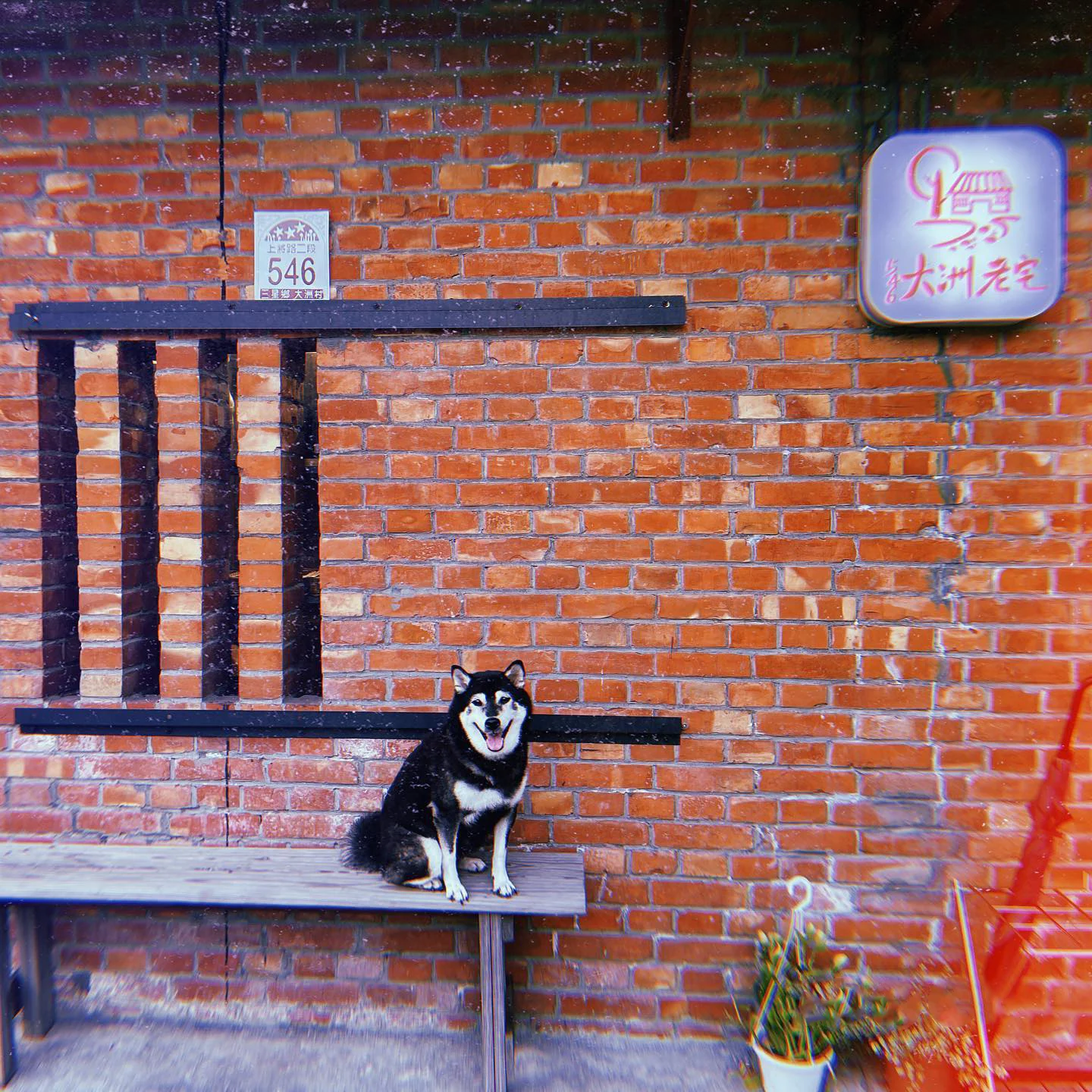 546大洲老宅 111 - Travel of Rice 小米遊記