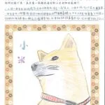 豐田國小/苗栗卓蘭 87 - Travel of Rice 小米遊記 豐田國小/苗栗卓蘭 87 - Travel of Rice 小米遊記