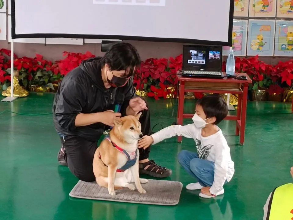 小港國小附設幼兒園/高雄小港 50 - Travel of Rice 小米遊記 小港國小附設幼兒園/高雄小港 49 - Travel of Rice 小米遊記