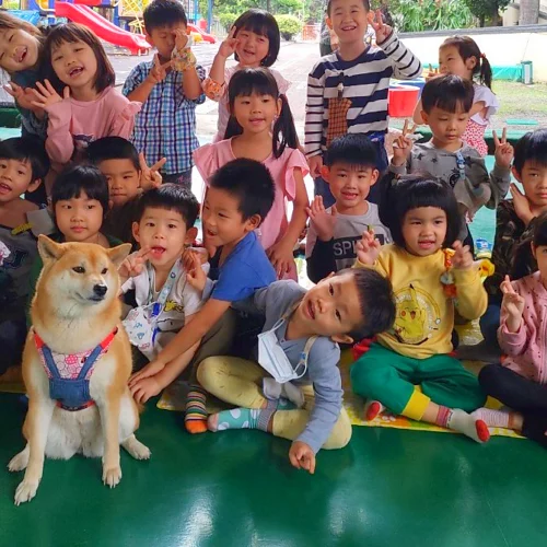小港國小附設幼兒園/高雄小港 32 - Travel of Rice 小米遊記 小港國小附設幼兒園/高雄小港 32 - Travel of Rice 小米遊記