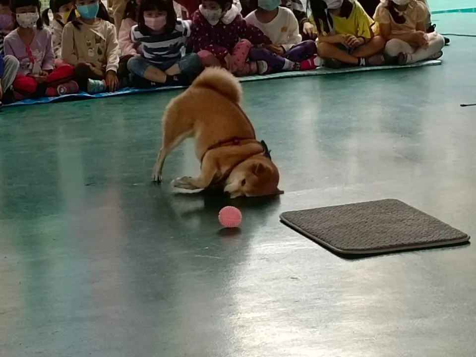 小港國小附設幼兒園/高雄小港 58 - Travel of Rice 小米遊記 小港國小附設幼兒園/高雄小港 57 - Travel of Rice 小米遊記