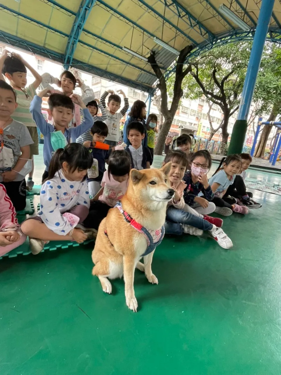 小港國小附設幼兒園/高雄小港 64 - Travel of Rice 小米遊記 小港國小附設幼兒園/高雄小港 63 - Travel of Rice 小米遊記