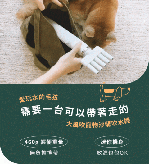 大風吹｜寵物沙龍吹水機 9 - Travel of Rice 小米遊記