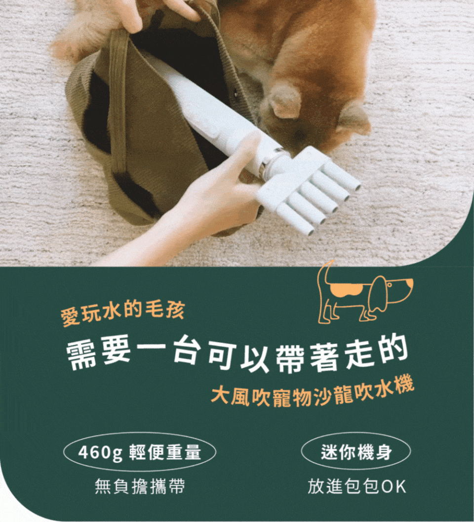 大風吹|寵物沙龍吹水機 9 - Travel of Rice 小米遊記 大風吹|寵物沙龍吹水機 9 - Travel of Rice 小米遊記