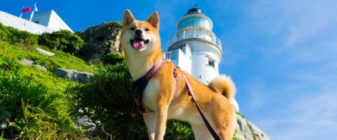 2022馬祖《獨一無二的家人》校園巡迴生命教育重啟！ 16 - Travel of Rice 小米遊記