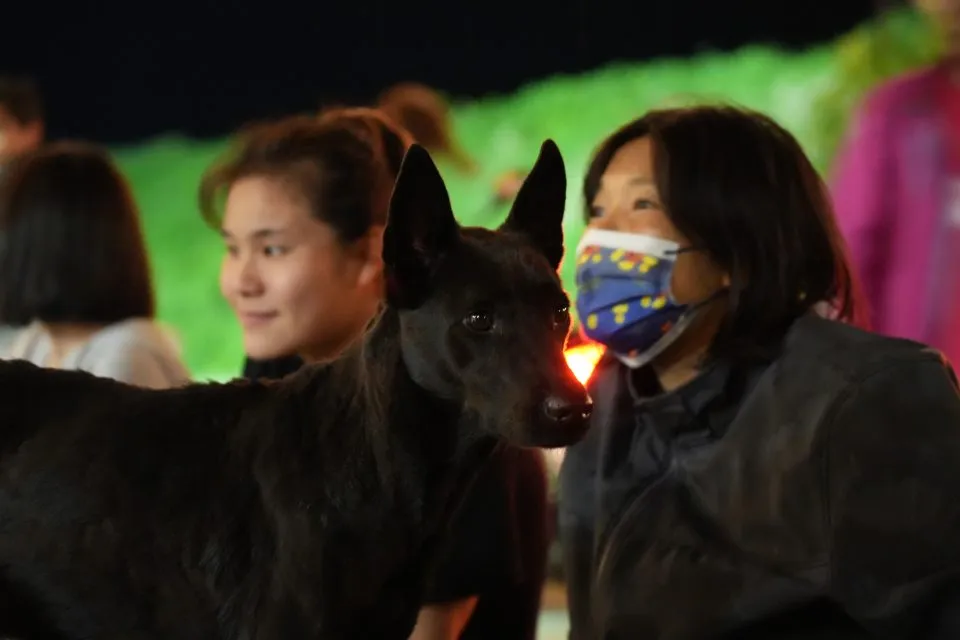東清部落開放民眾場/台東蘭嶼 48 - Travel of Rice 小米遊記 東清部落開放民眾場/台東蘭嶼 48 - Travel of Rice 小米遊記