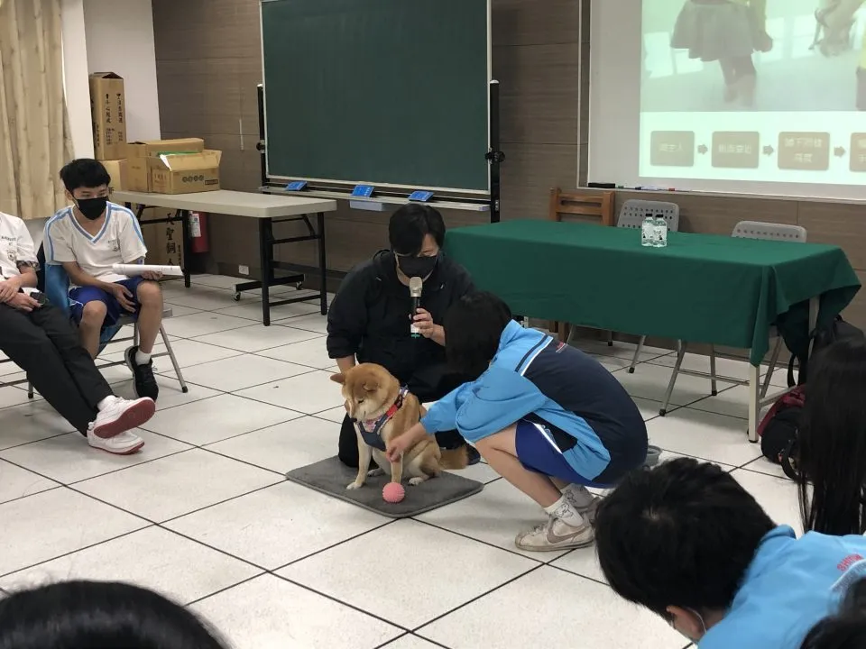 西苑高中/台中西屯 37 - Travel of Rice 小米遊記 西苑高中/台中西屯 37 - Travel of Rice 小米遊記