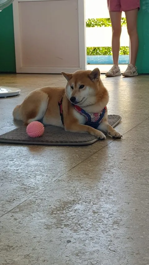 龍門國小／澎湖湖西 35 - Travel of Rice 小米遊記