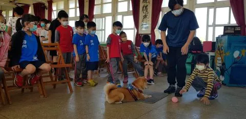 龍門國小／澎湖湖西 42 - Travel of Rice 小米遊記