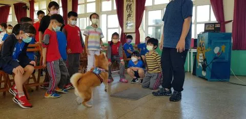 龍門國小／澎湖湖西 44 - Travel of Rice 小米遊記