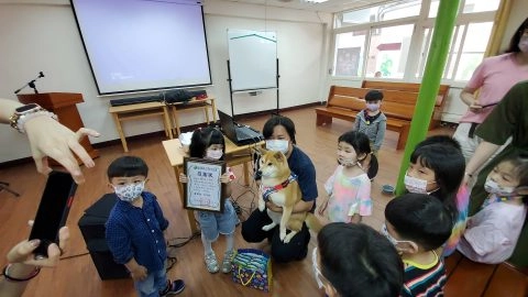 馬幼幼兒園/澎湖馬公 35 - Travel of Rice 小米遊記 馬幼幼兒園/澎湖馬公 35 - Travel of Rice 小米遊記