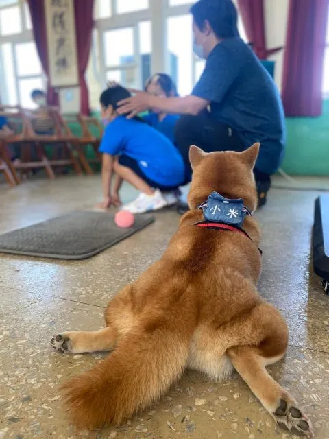 龍門國小／澎湖湖西 47 - Travel of Rice 小米遊記