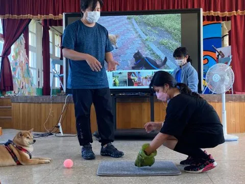 龍門國小／澎湖湖西 48 - Travel of Rice 小米遊記