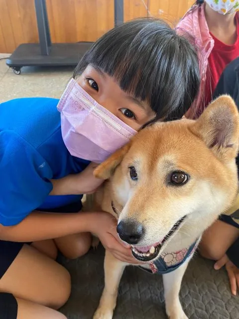 龍門國小／澎湖湖西 50 - Travel of Rice 小米遊記