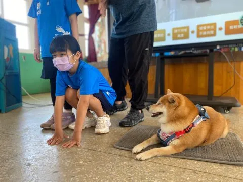 龍門國小／澎湖湖西 37 - Travel of Rice 小米遊記