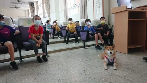 文澳國小／澎湖馬公 48 - Travel of Rice 小米遊記