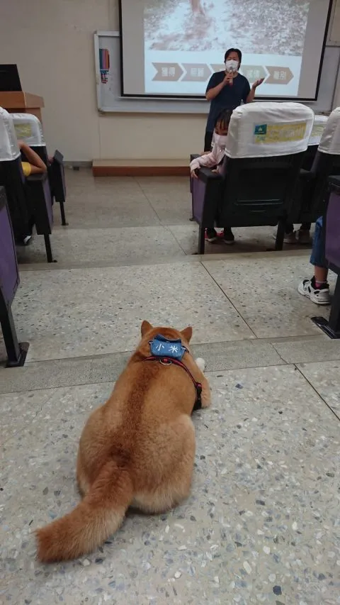 文澳國小／澎湖馬公 47 - Travel of Rice 小米遊記