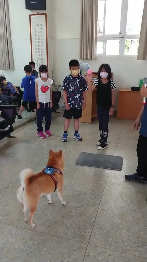 文澳國小／澎湖馬公 64 - Travel of Rice 小米遊記