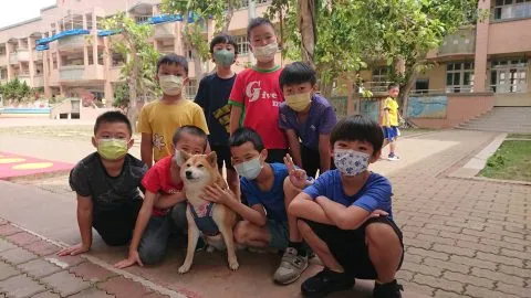 文澳國小／澎湖馬公 68 - Travel of Rice 小米遊記