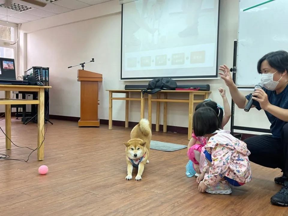 馬幼幼兒園/澎湖馬公 51 - Travel of Rice 小米遊記 馬幼幼兒園/澎湖馬公 51 - Travel of Rice 小米遊記