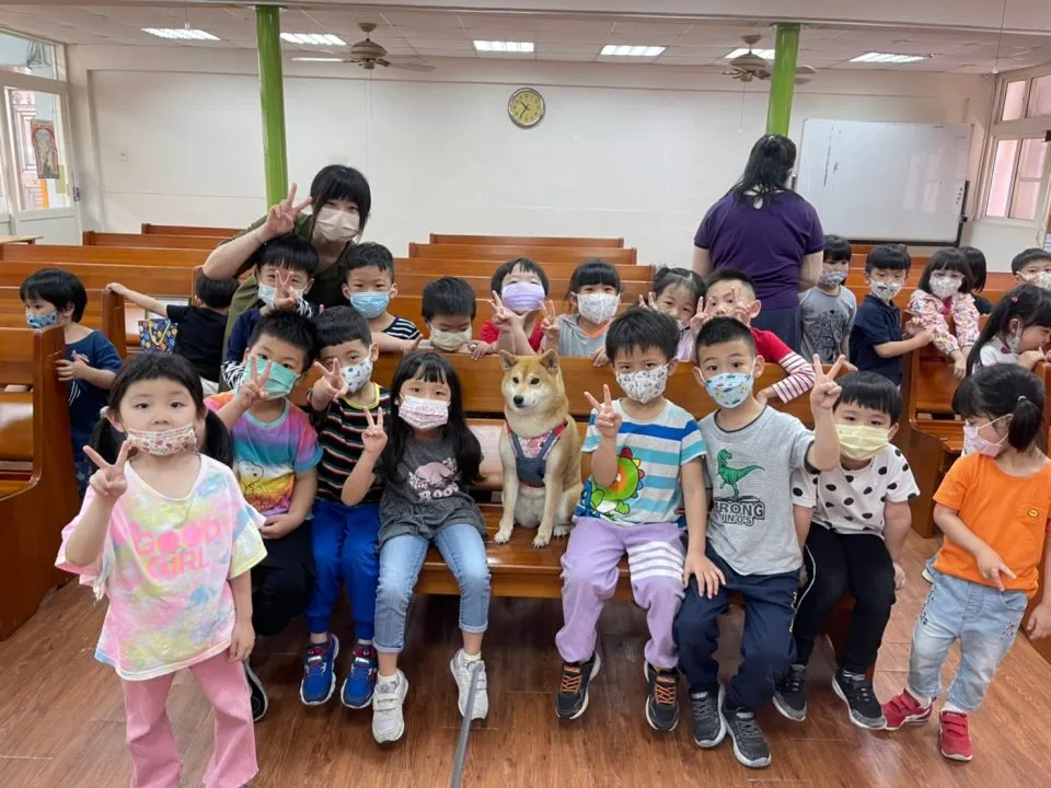 馬幼幼兒園/澎湖馬公 57 - Travel of Rice 小米遊記 馬幼幼兒園/澎湖馬公 57 - Travel of Rice 小米遊記