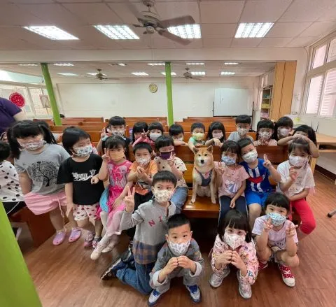 馬幼幼兒園/澎湖馬公 58 - Travel of Rice 小米遊記 馬幼幼兒園/澎湖馬公 58 - Travel of Rice 小米遊記