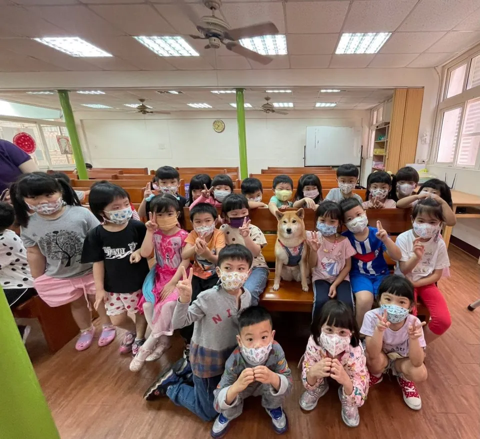 馬幼幼兒園/澎湖馬公 58 - Travel of Rice 小米遊記 馬幼幼兒園/澎湖馬公 58 - Travel of Rice 小米遊記
