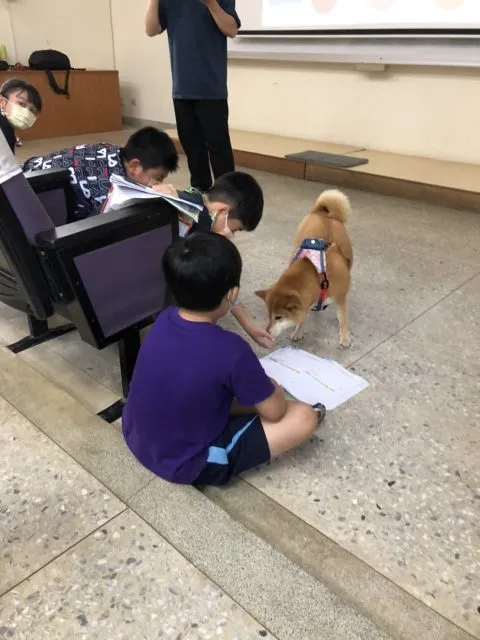 文澳國小／澎湖馬公 51 - Travel of Rice 小米遊記