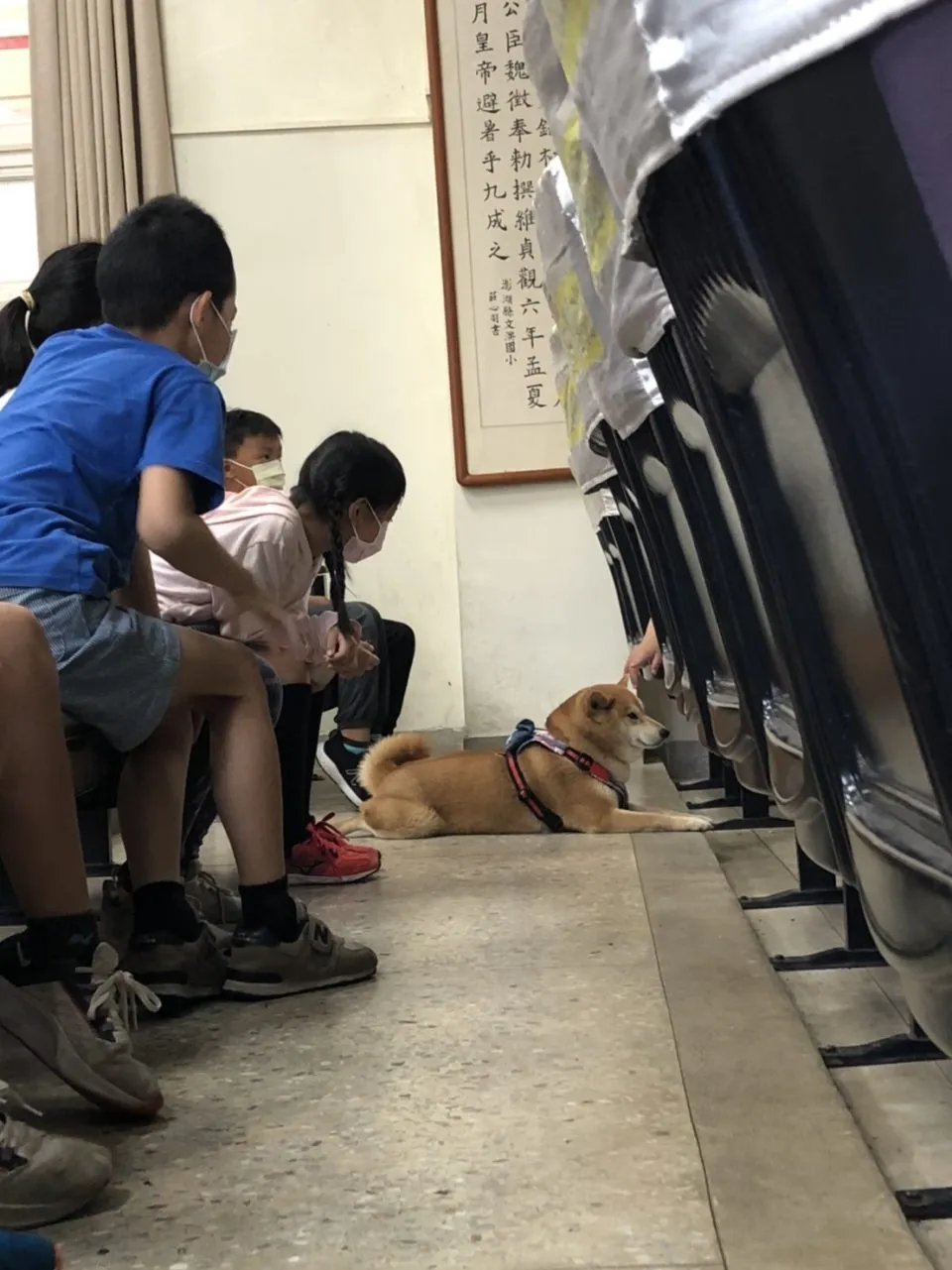 文澳國小/澎湖馬公 45 - Travel of Rice 小米遊記 文澳國小/澎湖馬公 45 - Travel of Rice 小米遊記