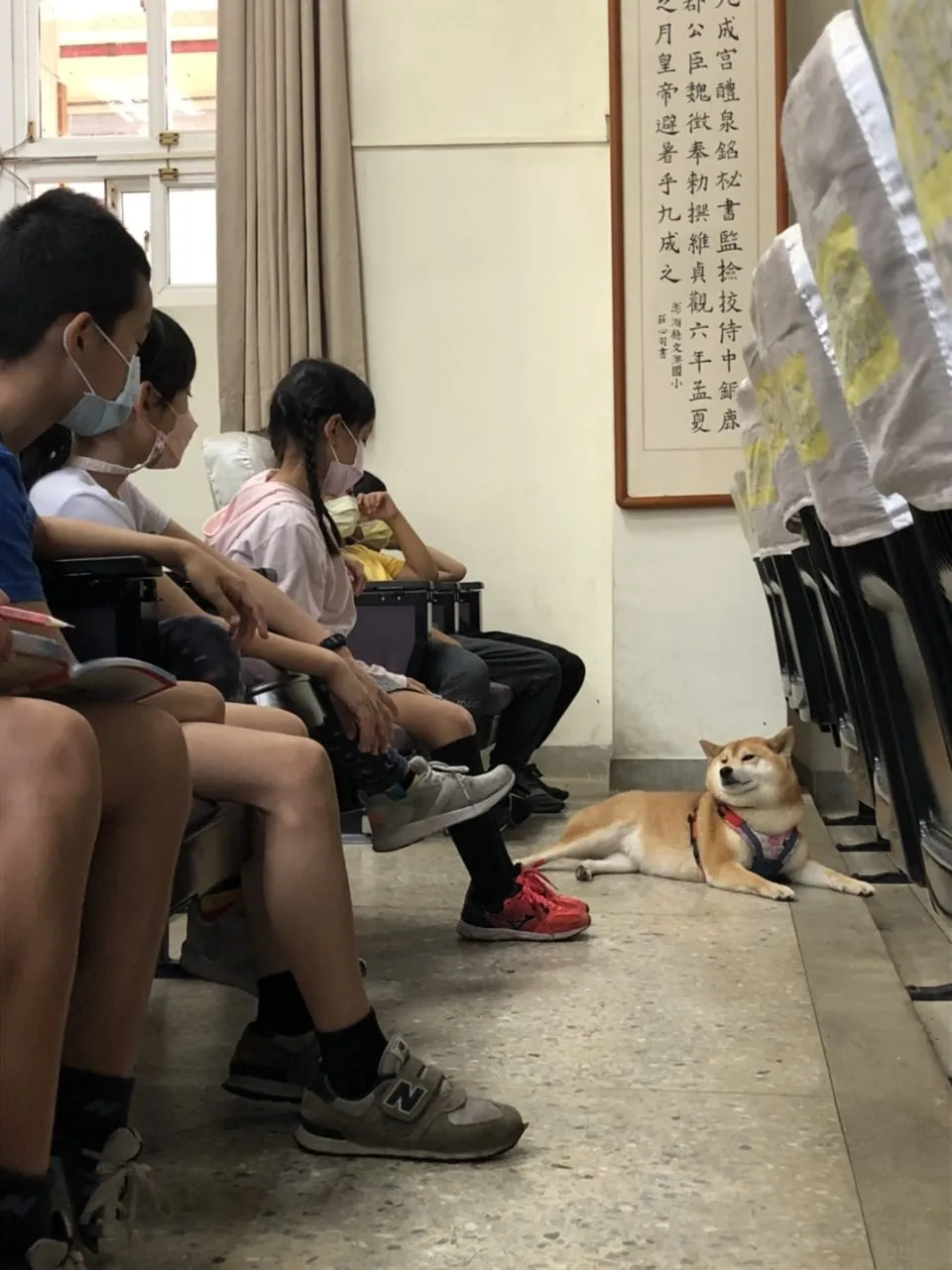 文澳國小/澎湖馬公 43 - Travel of Rice 小米遊記 文澳國小/澎湖馬公 43 - Travel of Rice 小米遊記