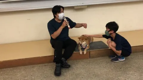 文澳國小／澎湖馬公 62 - Travel of Rice 小米遊記