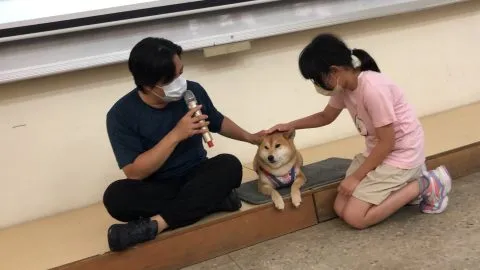 文澳國小／澎湖馬公 61 - Travel of Rice 小米遊記