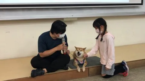 文澳國小／澎湖馬公 59 - Travel of Rice 小米遊記