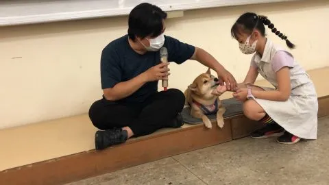 文澳國小／澎湖馬公 58 - Travel of Rice 小米遊記