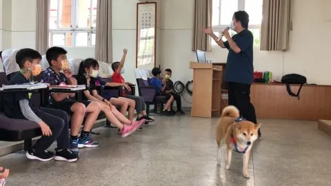 文澳國小／澎湖馬公 55 - Travel of Rice 小米遊記