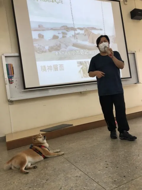 文澳國小／澎湖馬公 50 - Travel of Rice 小米遊記