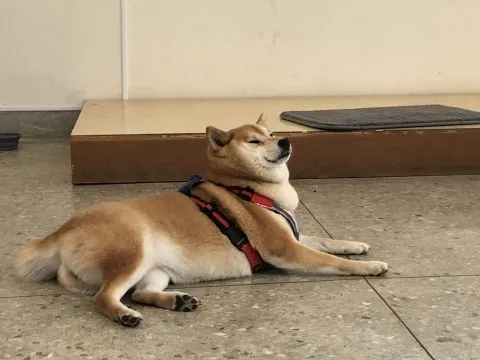 文澳國小／澎湖馬公 53 - Travel of Rice 小米遊記