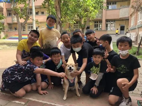 文澳國小／澎湖馬公 70 - Travel of Rice 小米遊記