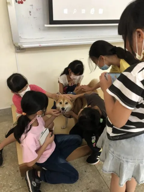 文澳國小／澎湖馬公 52 - Travel of Rice 小米遊記