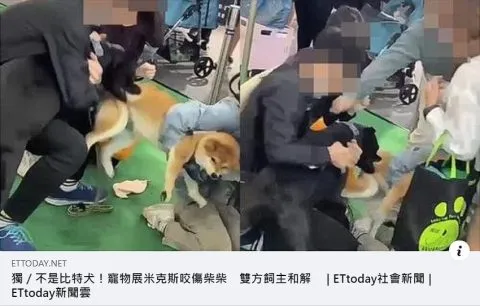 寵物展不是寵物友善,愛他就不要帶他去 13 - Travel of Rice 小米遊記 寵物展不是寵物友善,愛他就不要帶他去 13 - Travel of Rice 小米遊記