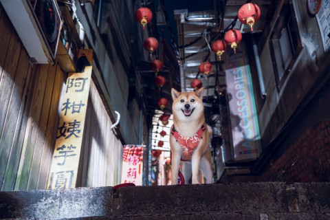 九份老街