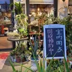 好好 69 - Travel of Rice 小米遊記 好好 69 - Travel of Rice 小米遊記