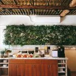 好好 72 - Travel of Rice 小米遊記 好好 72 - Travel of Rice 小米遊記