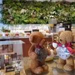 好好 73 - Travel of Rice 小米遊記 好好 73 - Travel of Rice 小米遊記