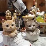 好好 74 - Travel of Rice 小米遊記 好好 74 - Travel of Rice 小米遊記