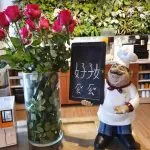 好好 79 - Travel of Rice 小米遊記 好好 79 - Travel of Rice 小米遊記